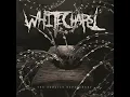 The Somatic Defilement - Whitechapel