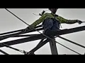 A day in the life of an apprentice lineman with Julio