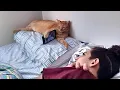 Download Lagu Als je de MEEST HARDWERKENDE kat ter wereld hebt 😂 Grappige kattenvideo's