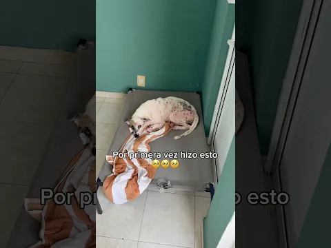 Ustedes se emocionan tanto como yo? 🥹❤️ que bonito verla empezar a sanar su corazón ❤️🩹