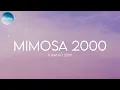 Furacão 2000 - Mimosa 2000 (Lyrics)