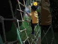 Kids Tracking
