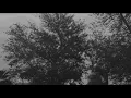 Download Lagu nf - let you down (slowed down)