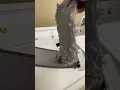 Download Lagu She Didn’t Know?! 🤯#dryerventcleaning #laundry #firehazard #oddlysatisfying #cleaning