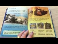Usborne - Night Animals Beginners