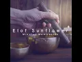 Tibetan Meditation Sound