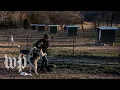 A look inside one dog breeder s business in the Ozarks