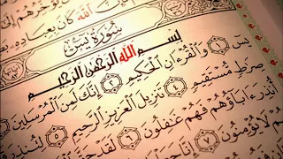 سورة يس القارئ ماهر المعيقلي Surah Yasin Maher Al Muaiqly 