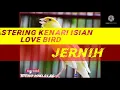 Download Lagu MASTERAN KENARI ISIAN LOVE BIRD||©JERNIH