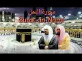 Download Lagu 027 Surat an Naml سورة النمل   Yasser al Dosari, Abdullah al Juhany