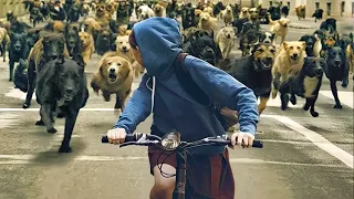 كلب شرس بيجمع كل كلاب المدينة وبيقود ثورة ضد البشر فى الشوارع ملخص فيلم 