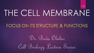 STRUCTURE FUNCTIONS OF THE CELL MEMBRANE
