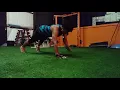 Coregasm 2