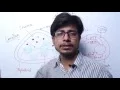 Chloroplast structure and function