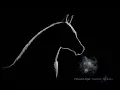 How to Draw a Horse Silhouette With Backlighting - Narrated