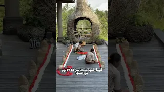 اسوأ مواعيد لشهر العسل في كل بلد 