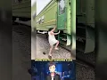 Download Lagu Funny Dubbing : Naik Kereta Api #shorts #ultraman #ejenali #boboiboy #sakura #skibiditoilet