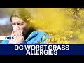 DC named worst city for grass allergies