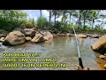 Download Lagu Jarang Sekali Terjadi Mancing Pake Umpan Lumut Dapat ikan Seperti ini #LM23