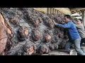 The monster log sawmill terrible full of beauty