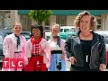 The Johnstons Grease 7 Little Johnstons
