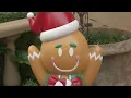 Blow Mold Gingerbread Man Light by Lytworx