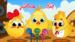                    جميع اغاني الصيصان  واغاني اطفال   مباشر كتاكيت بيبي دندنها
