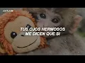 Carla Morrison - Valentina (Letra) | Punch The Monkey