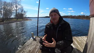 Snowbird Ep31 an old sailboat DIY refit Hallberg Rassy Rasmus, 12v buzzing dimmer switches and more