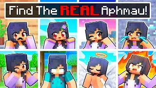 Download Find the REAL APHMAU in Minecraft! MP3