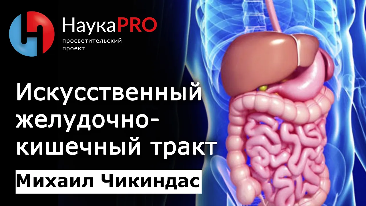 Искусственный желудочно-кишечный тракт (ЖКТ) | Лекции по биологии – биолог Михаил Чикиндас | Научпоп