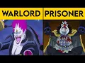The Rise Fall and Secret Identity of Gecko Moria