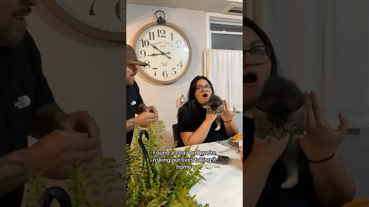 Jason Derulo channel featured image