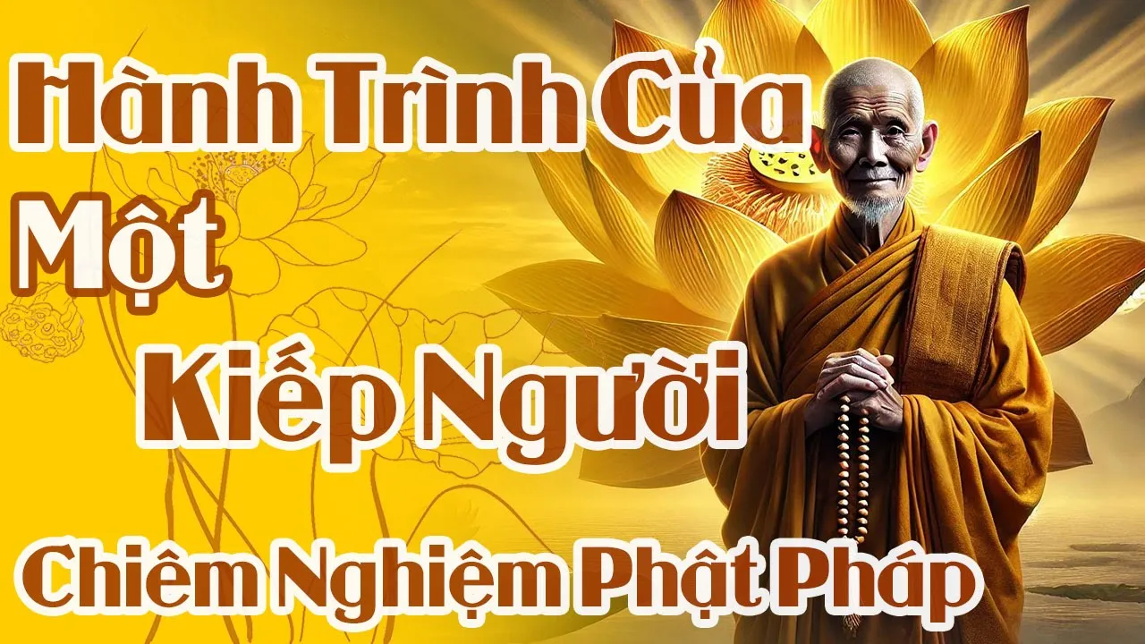Outline Video Hành Trình Của 1 Kiếp Người | Chiêm Nghiệm Phật Pháp Dễ Ngủ | Pháp Mộc Tâm