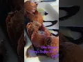 This was Absolutely delicious Chef s Kiss - Harry s Seafood Bar Grill Tallahassee