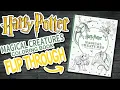 Harry Potter Magical Creatures Colouring Book - FLIP THROUGH