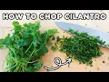 How to Chop Cilantro the Easy Way Kitchen Knife Skills for Beginners with MOMables
