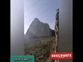 Olvide cuidar mi Huerto. Jesús Adrián Romero