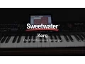 Download Lagu Korg Pa4X Professional Arranger Keyboard Demo