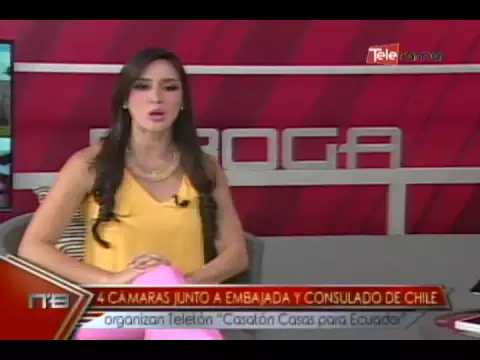4 Cámaras junto a embajada y consulado de Chile organizaron Teletón Casatón Casas para Ecuador
