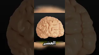 هل تعلم ان بعد قطع الرأس الشخص يبق واعيا 