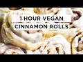 1 Hour Vegan Cinnamon Rolls