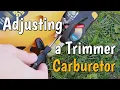 How To Adjust a Trimmer Carburetor Poulan Pro Craftsman Weed Eater Zama 2-Stroke Carburetor