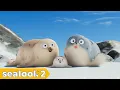 Like Father Like Son SEALOOK Compilation