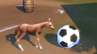 Training My New Foal at the Sims 4 Horse Ranch