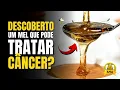 Download Lagu DR. REVELA: Um Mel que PODE TRATAR CÂNCER?