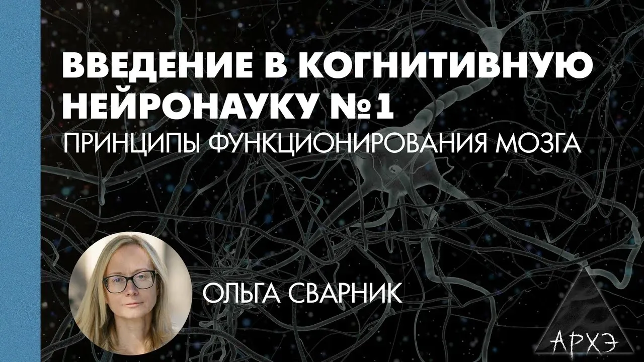 Ольга Сварник: Принципы функционирования мозга