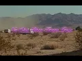Tove Lo - No One Dies From Love (Scene 1)