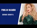 Download Lagu PINKAN MAMBO - DIRIMU DIRINYA ( LIRIK )