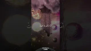 أما نادى بك الموت 